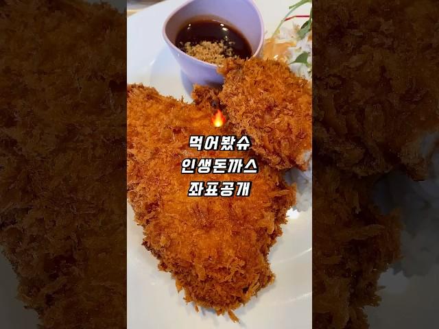 인생 돈까스 좌표 공개합니다.