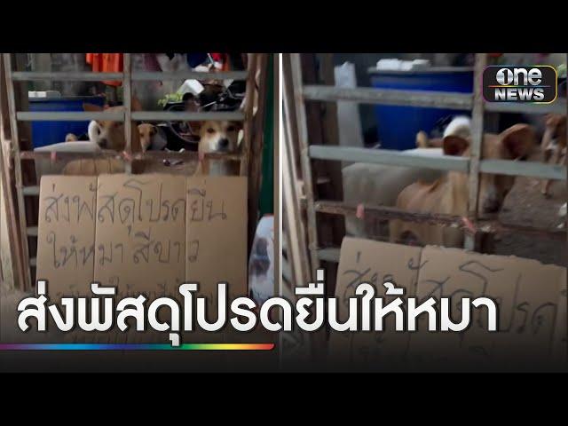 แค่เขย่า หมาน้ำตาลก็ไปตามหมาขาวมารับพัสดุ | ข่าวเช้าช่องวัน | สำนักข่าววันนิวส์