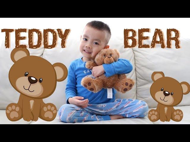 Pretend Play | Hanson's Missing Teddy Bear | LRH & Toys