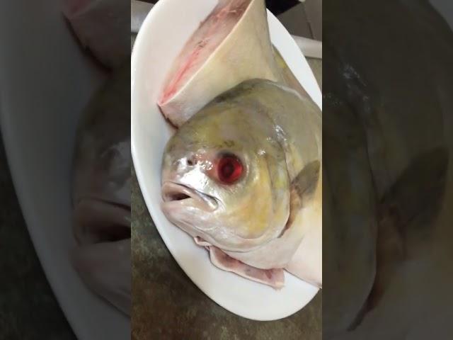 Fresh fish in Australia be likethis fish had sore eyes