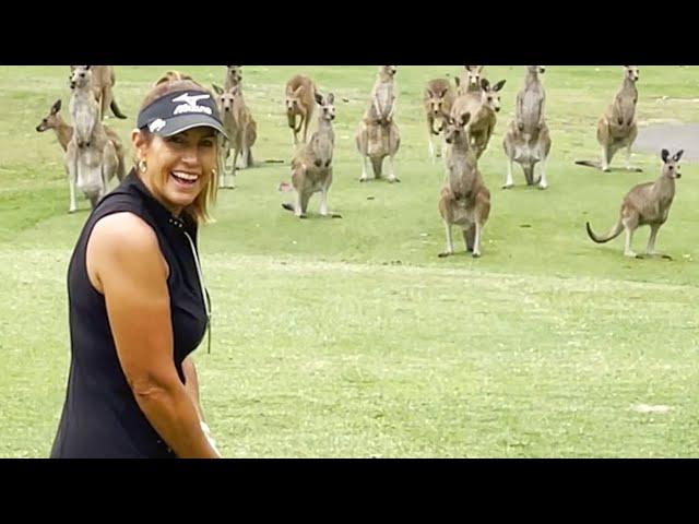You Laugh You Lose  | FUNNY Animal and Pet Clips