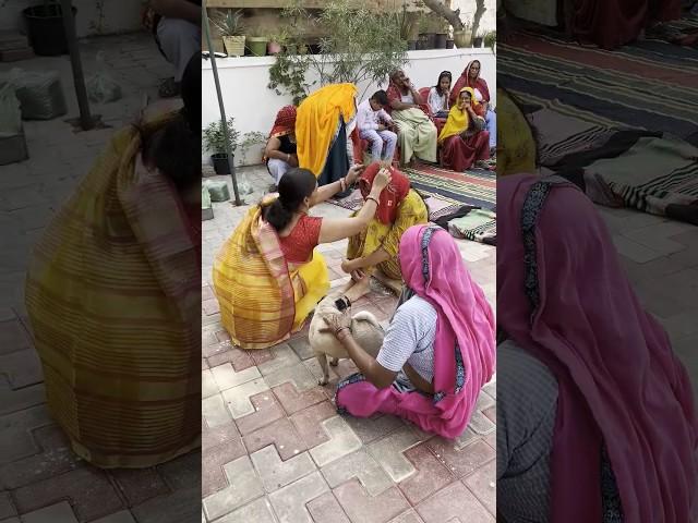 Bhua tel chdate #haldi #haryanviculture #haryanvi #haryana #haryanvivlogs #trending #viral #vlogs