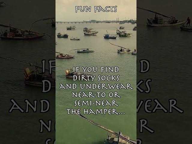 Fun Facts - If you find dirty socks and underwear near...