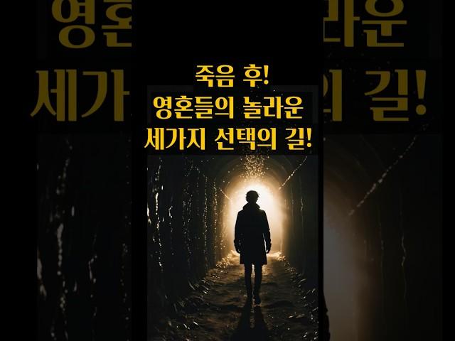 죽음후 영혼들의 놀라운 선택과 실상! #환생 #윤회 #사후세계