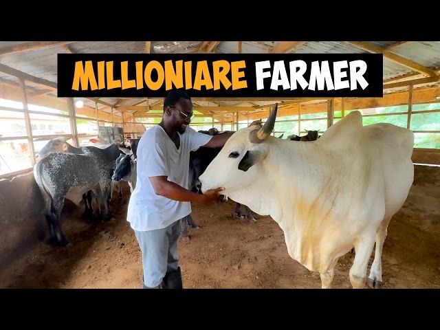 How a Young Ghanaian Engineer is Building the Country’s Largest Intensive Cattle Farm.