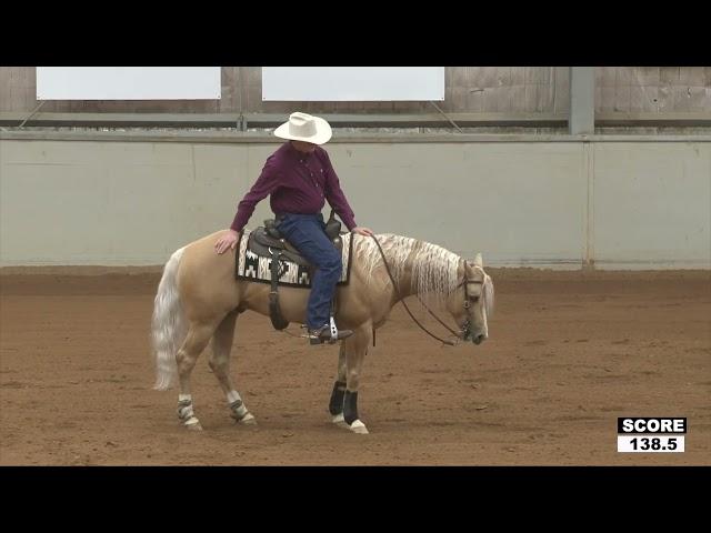 NRHA Oceania 2024 - Novice Horse Non Pro L1 Champion