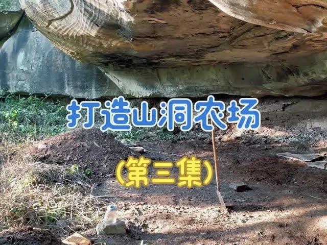 第六集， 打造山洞农场，今天把鸡棚搭起来，养几十只鸡在山洞农场#三农 #农村创业养殖