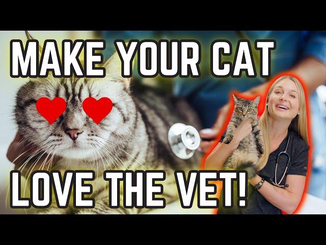 How To Make Your Cat Friendly For the Veterinarian? | Easy Cat Handling Tips