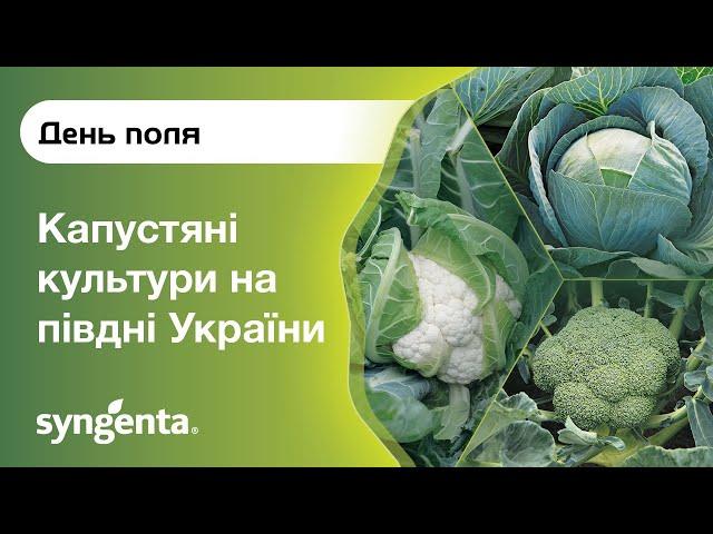 День поля «Капустяні культури на півдні України»