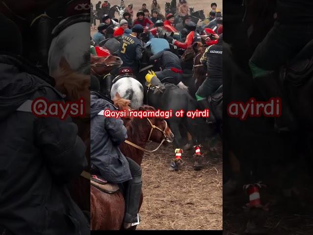 Ot #rek #automobile #horse #up #bmw #equestrian #turkey #horseriding #update #shorts #tiktok #short