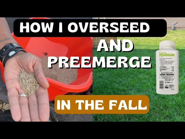 How To Overseed and Pre Emerge In the Fall and the BEST Fertilizers to Use