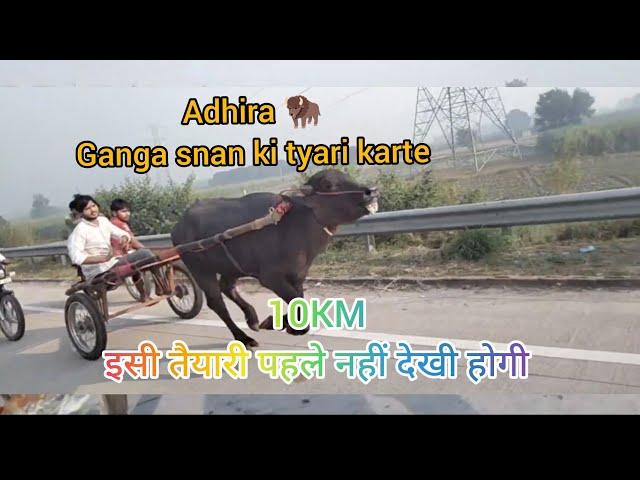 Adhira Jhotta Race || Motla Army|| Jhota Race #2024 #jhottarace #gangasnan2024