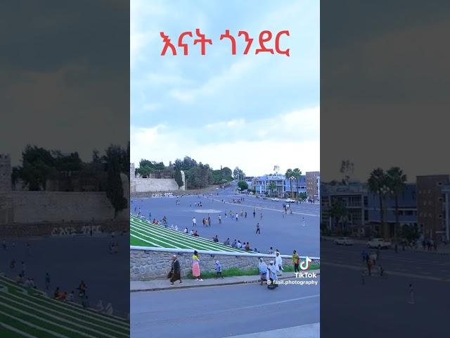 እናተዋ ጎንደር