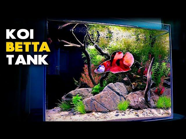 Aquascape Tutorial: Koi Betta Nano Aquarium (how to: step by step planted tank guide)