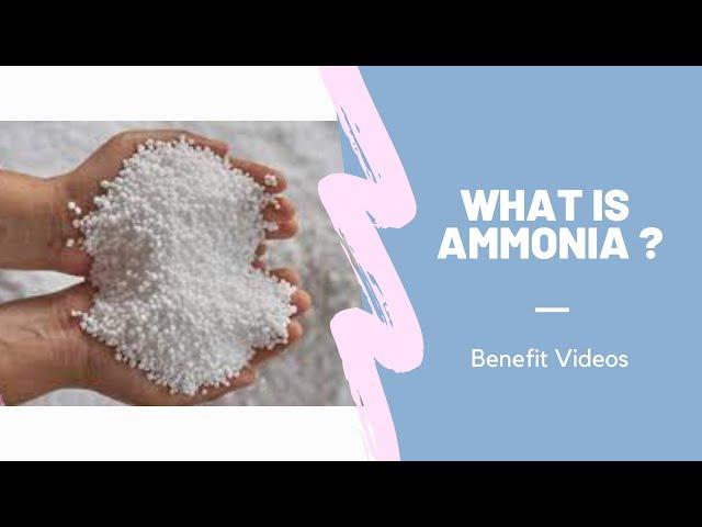 What Is Ammonia ?