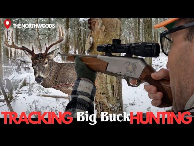 Tracking down a big Buck on snow | Big woods