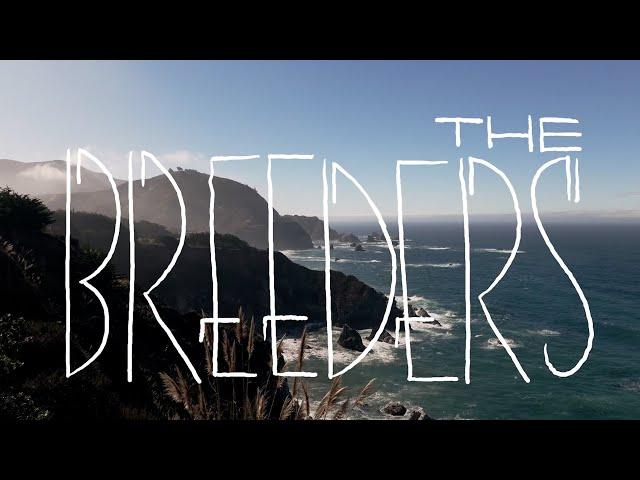 The Breeders - Live in Big Sur