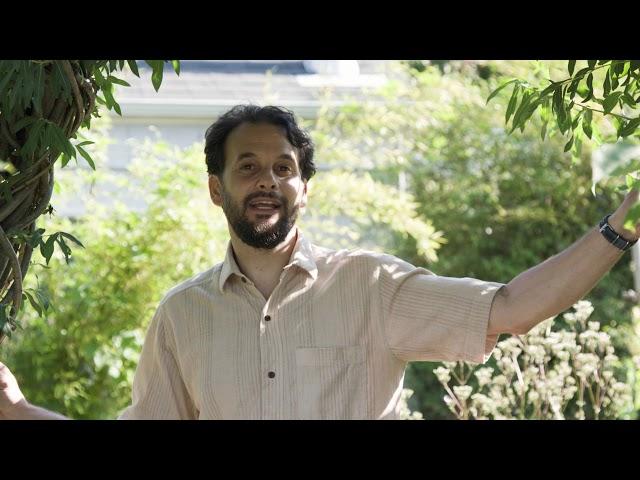 The Ultimate Fruiting Permaculture Hedge