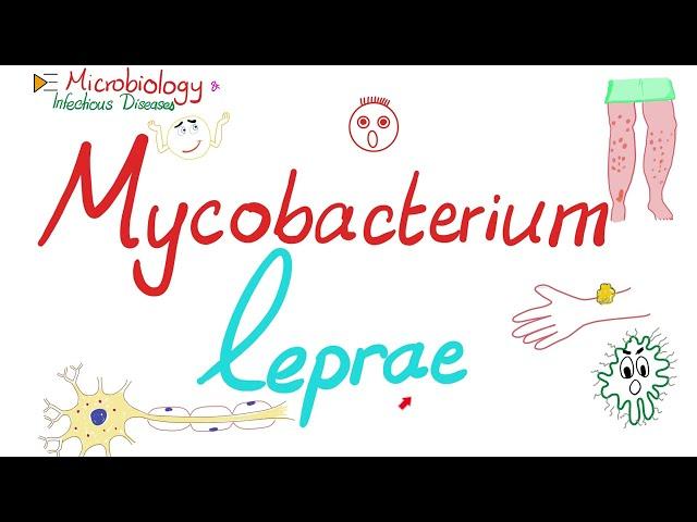 Mycobacterium leprae - Leprosy -  Microbiology  & Infectious Diseases Playlist