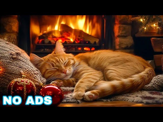 Cat music for anxiety! Deep Sleep, Stress Relief, Christmas ambience no ads, Peaceful sleeping music