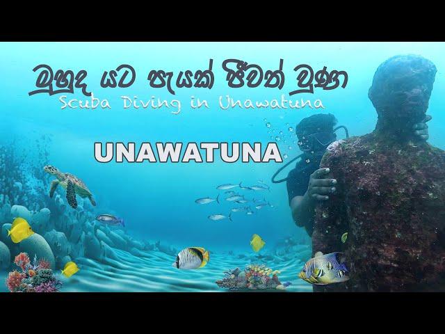 මුහුද යට පැයක් ජීවත් වුණා  | Scuba Diving in Unawatuna  | Sri Lanka