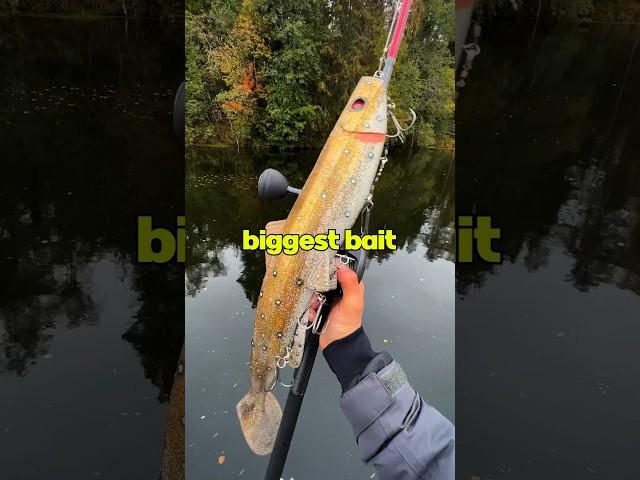 We Caught a Fish on the World’s Biggest Lure 