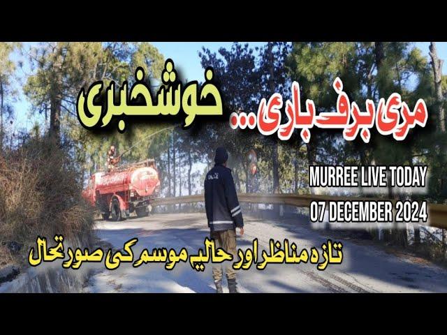 Murree Live Weather Today | Murree Fresh Update | #Murree #nathiagali #nathiagalitoday #galiyat #4K