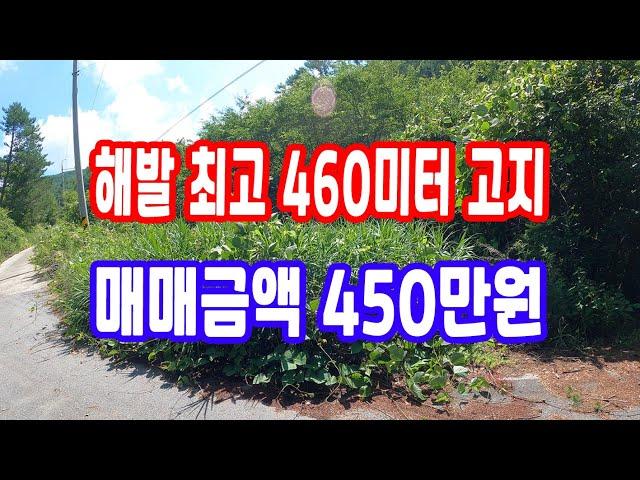 땅 시골 땅,임야 매매 450만원 해발 최고 460미터 고지,계곡 한 면 전체 접한 계곡땅 깊은 산 골 혐오 시설 없는 완전 자연 청정 산 속 땅 가재 잡이 힐링땅