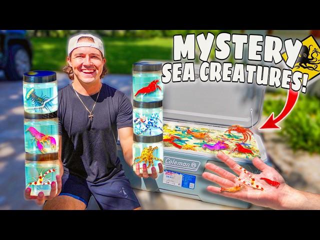 Stocking My SALTWATER POND With Tons of EXOTIC SEA CREATURES! (Shopping Spree)