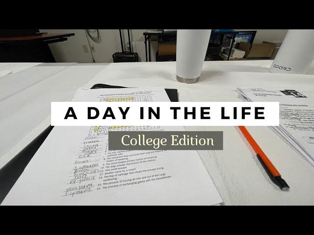 A day in the life: Sonography Student