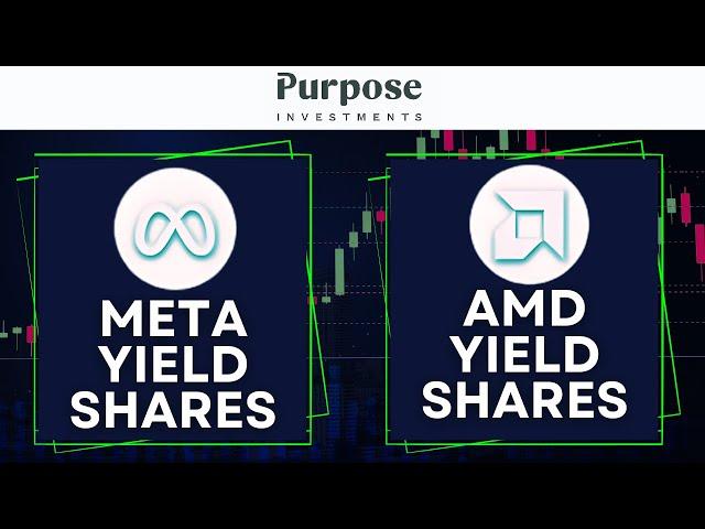 Purpose Launches META & AMD Yield Shares ETFs: YMET & YAMD | Enhanced Monthly Income