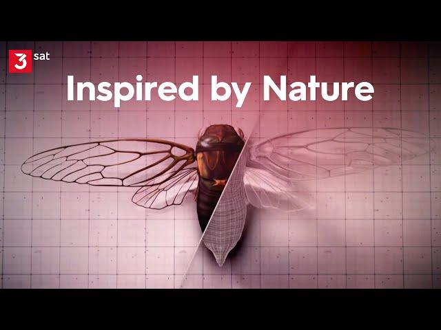 Von der Natur zur Technologie: Bio-Inspiration für die Zukunft [Doku-Special]