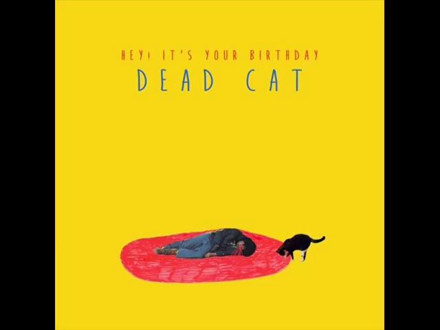 Hey! It's Your Birthday   Dead Cat