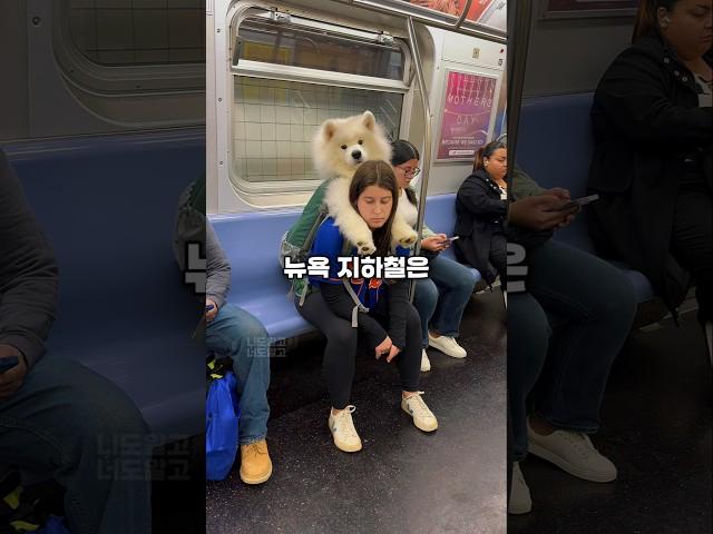 한국인이 뉴욕 지하철을 타보고 깜짝 놀란 이유와 문화충격
