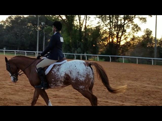Tracy with My Perfect Storm at 2nd Show