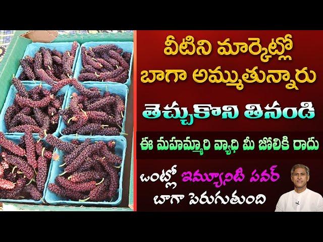 How to Boost Immunity | Reduces Colon Cancer | Breast Cancer | Red Mulberry | Manthena's Health Tips