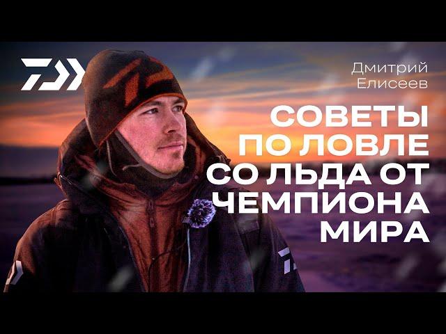 10 СОВЕТОВ ОТ ЧЕМПИОНА / ДМИТРИЙ ЕЛИСЕЕВ  / НОВОГОДНИЙ КОНКУРС