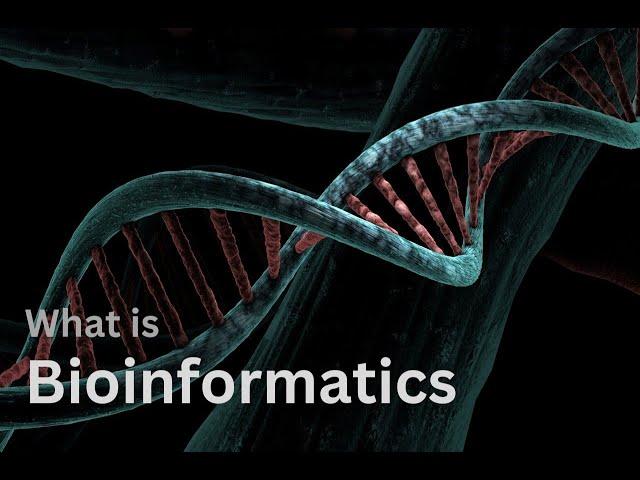 What is bioinformatics | bioinformatics for beginners | bioinformatics tutorial |