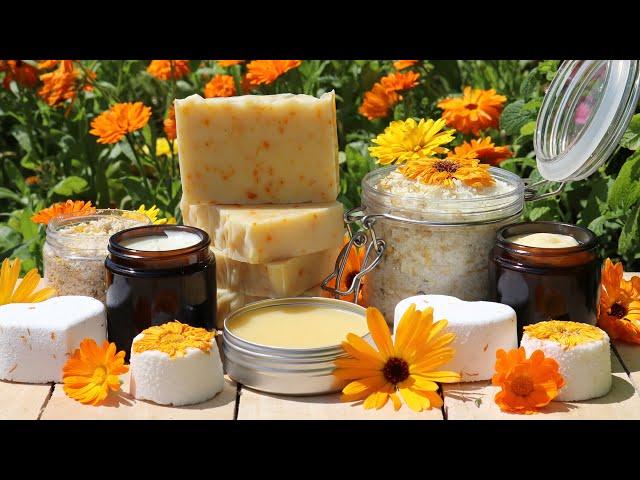 7 Incredible Ways to Use Calendula Flowers