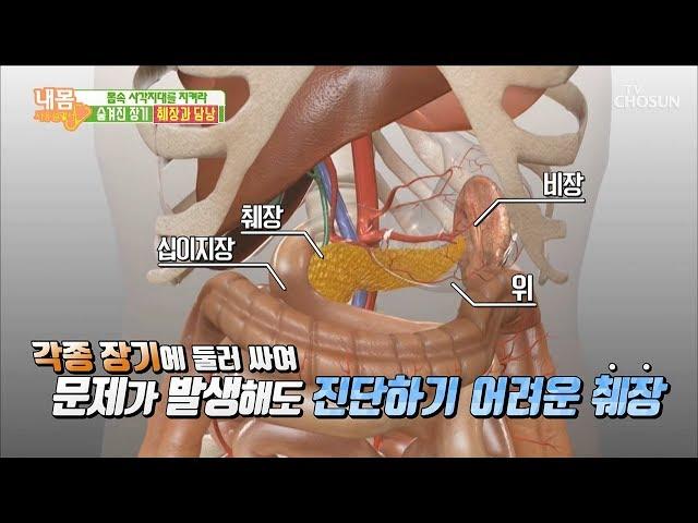 몸 속 깊은 사각지대 ‘췌장’ 진단하기가 어렵다?! [내 몸 사용설명서] 253회 20190524