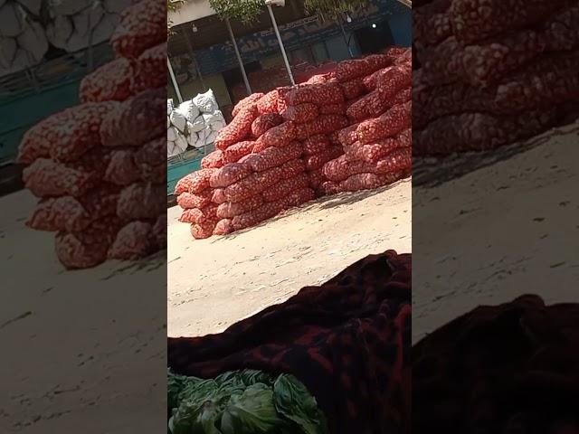 البصل والبطاطس والكابوتشا #العبور #اكسبلور