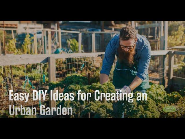 Easy DIY Ideas for Creating an Urban Garden