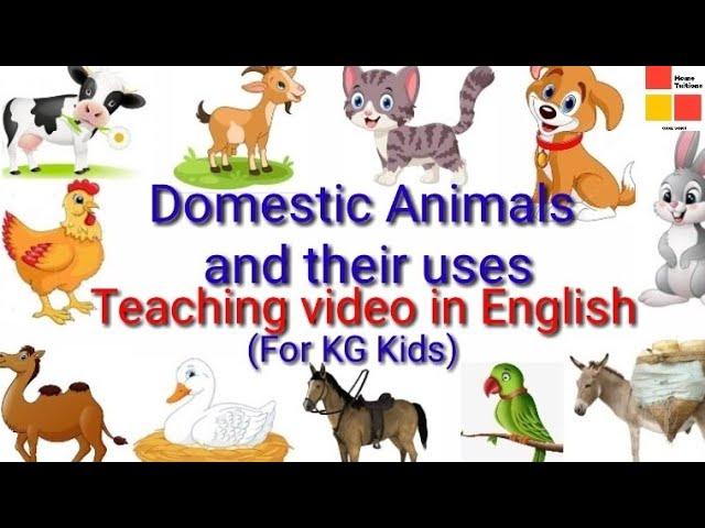 EVS Domestic Animals#Teaching video of Domestic Animals for KG kids#Domestic animals and their uses.