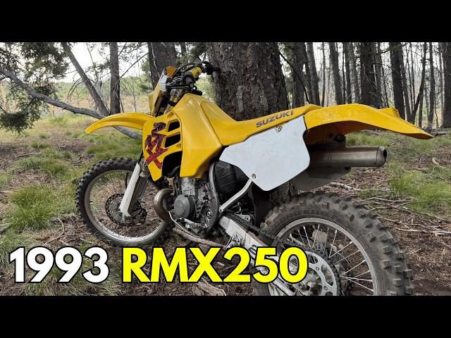 1993 RMX250 Hard Enduro RAW