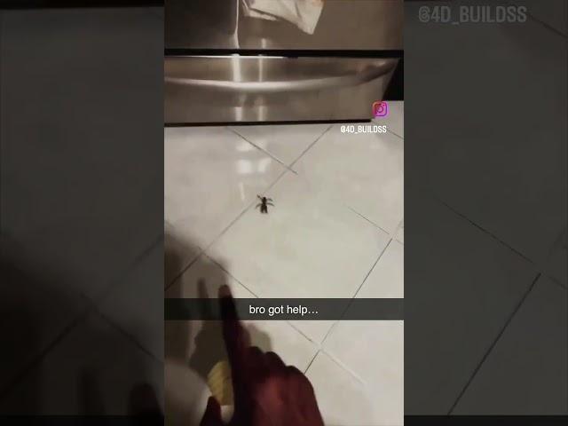 "Mess With One, Face Them All!"#AntsStrikeBack #TinyButMighty #AnimalDefense #Shorts #Trending