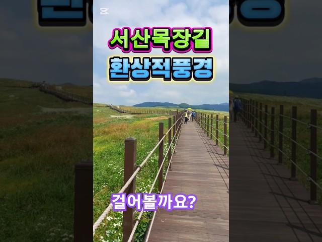 환상적인 서산 목장길 걸으며 한우를 만나볼까요?