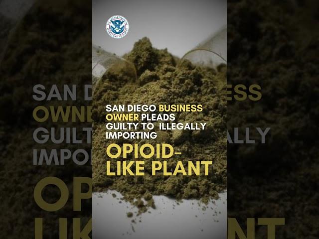 NEWS NOW | NYC man charged in crypto attack, opioid like plant case & big drug trafficking upset