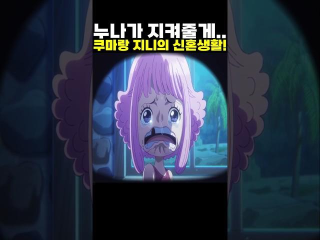 눈물 없이 볼 수 없는 쿠마랑 지니의 신혼생활! #onepiece #원피스