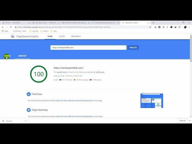Speed up WordPress website - 100 Google Speed score 2021