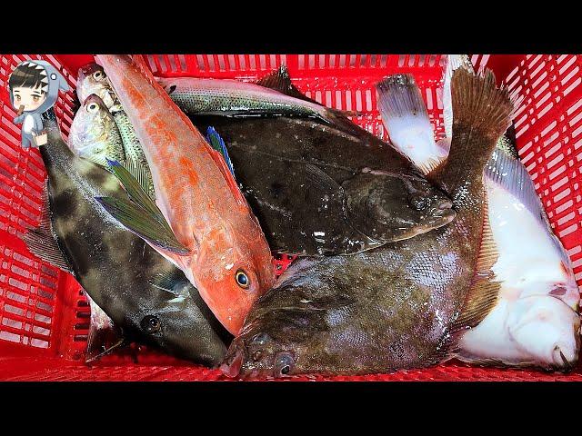 Assorted Seafood Sashimi Songdo Fish Market Pohang Korea 포항 송도 활어회센터 해물모듬회 25 etc